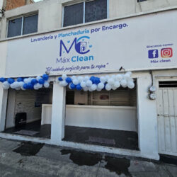 Max Clean