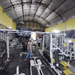 TAURUS GYM