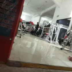 VL FITNESS GYM