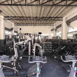 Iron Beast Gym