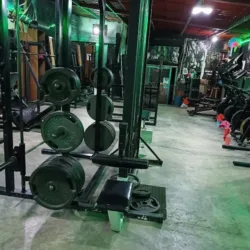 Gym Monster Trainers