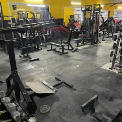 ELITE FITNESS
