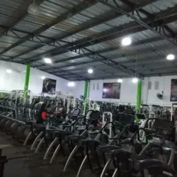 Muscle Mid