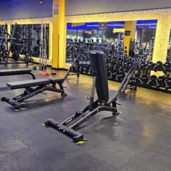 Gimnasio Smart Fit - Sendero Obregón