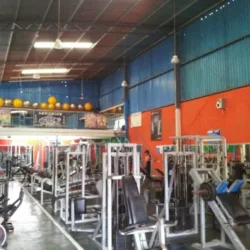 Gimnasio Mixto New Body Gym