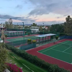 Club Social y Deportivo de Zacatecas