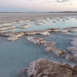 Guerrero Negro