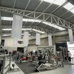 dharma gym & wellness