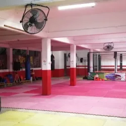 Spider Club Artes Marciales Mixtas