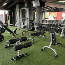 Fit24 Alamedas