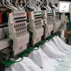 Bordados Vegvision