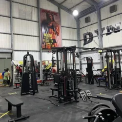 Dynamik Pablo Silva