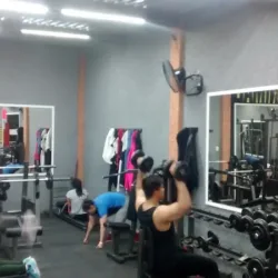 Gimnasio Animal