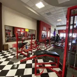 Absgym