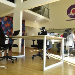Escala en la Web - Agencia de Marketing Digital