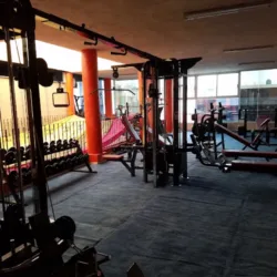 Global Gym