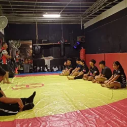 Academia Dragon Artes Marciales Mixtas