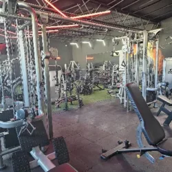Elite Team Pro Gym Milenio