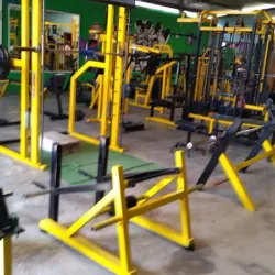 Gym Arnold