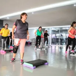 Optimus Fitness Gym
