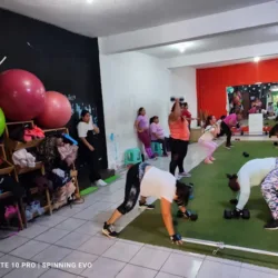 Evolution Fitness