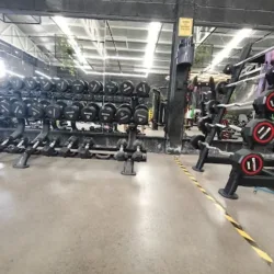 Zero Límites Gimnasio