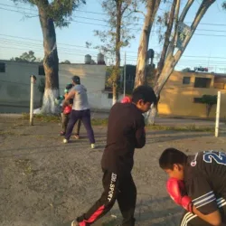 Boxeo Elite