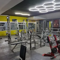 Evolution Gym