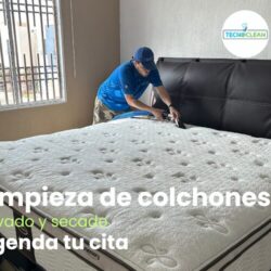 LTC Tecnoclean