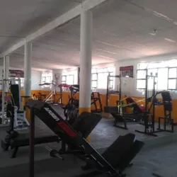 Vicenteño Gym