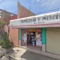 PAPELERÍA Y MERCERÍA La tóxica