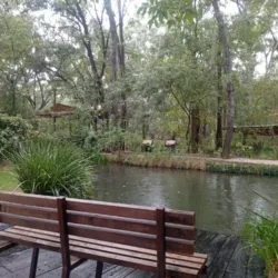 Bosque Eterno, Bosque Funerário
