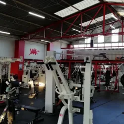 Workout Fitness