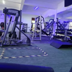 Gym Muscle Fit