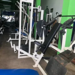 master mike gym