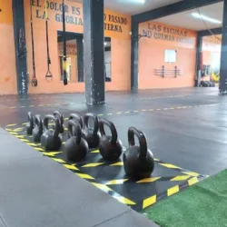 Lopez Crow