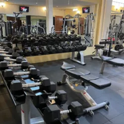 Dragon’s GYM