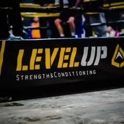 LevelUp Fight Team
