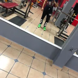 The Gym Fitness
