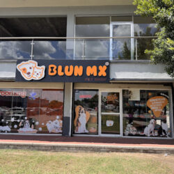 BLUN MX - PLAZA MORO
