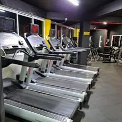 Olympia Fit