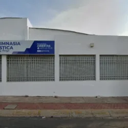 DG Gimnasia Artistica