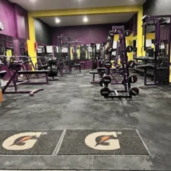 Vive Fitness Gym