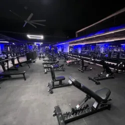 Fitsi Distrito Polanco