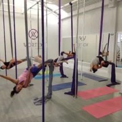 Vortex Pole Fitness
