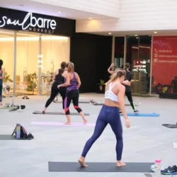 Soul Barre Workout