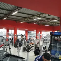 Live Stong Fitness Pls