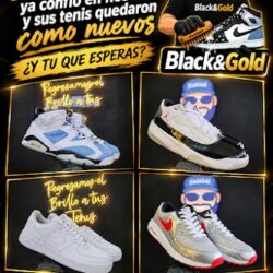 Black and Gold Apodaca
