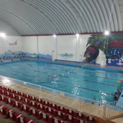 Alberca Semiolimpica los Alcanfores