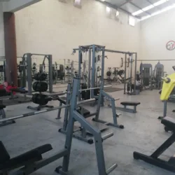 Olympic fitness